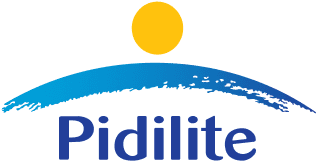 Pidilight Logo logo