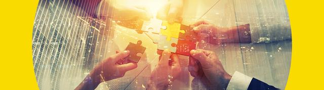 Global Shipping Alliances