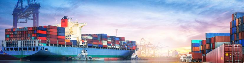 Understanding Import Duties & Regulations for FCL Shipments from China, Vietnam, Indonesia & Thailand to India