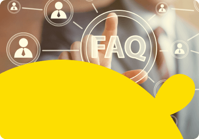 FAQs & Support