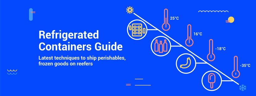 Reefer Shipping: A Guide to Shipping in Refrigerated Containers